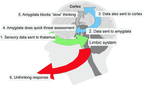 Improving Performance – Social Intelligence